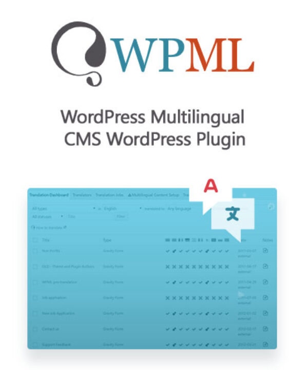 WordPress Multilingual CMS WordPress Plugin